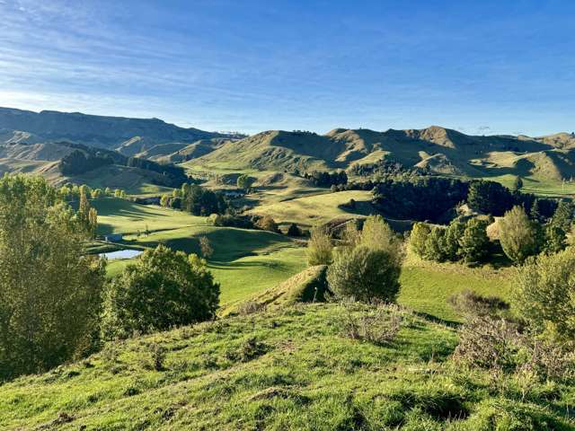 894 Otuarei Road Rangitikei Surrounds_4