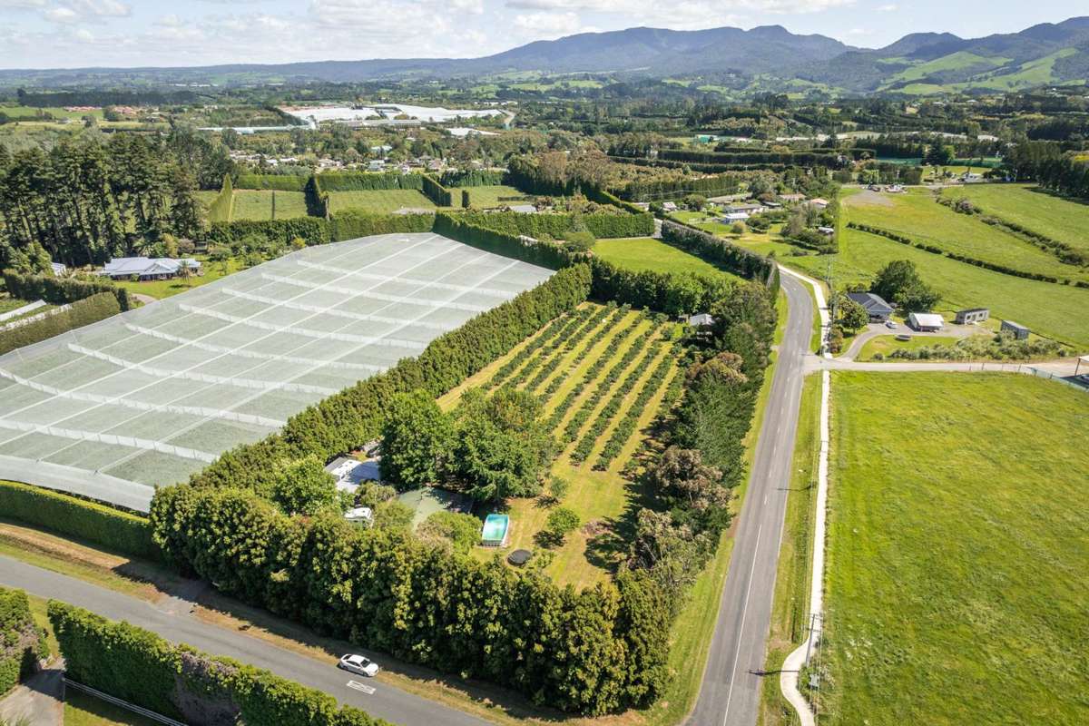 6 Sedgemoor Lane, RD 2_0