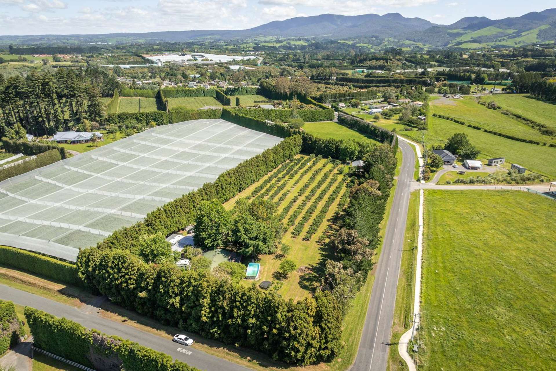 6 Sedgemoor Lane, RD 2 Katikati_0