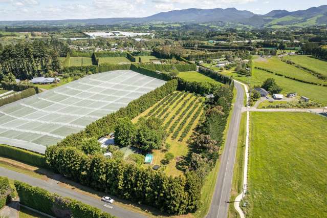 A Beautiful Lifestyle Close to Town