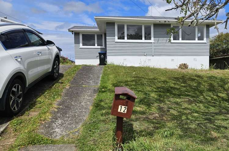 12 Graham Bell Avenue Mount Roskill_0