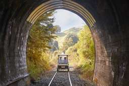 Iconic Kiwi tourist business for sale