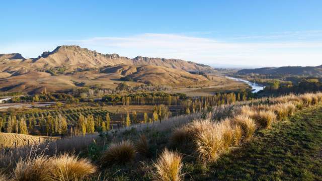 Te Weka - An exceptional residential development