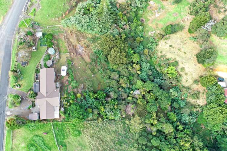 161 Wymer Road Glenbrook_25