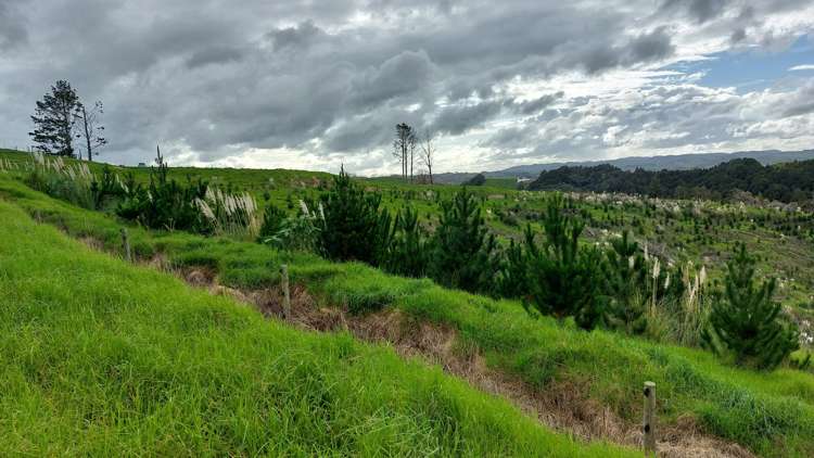 Lot 7/49 Kamea Place_4