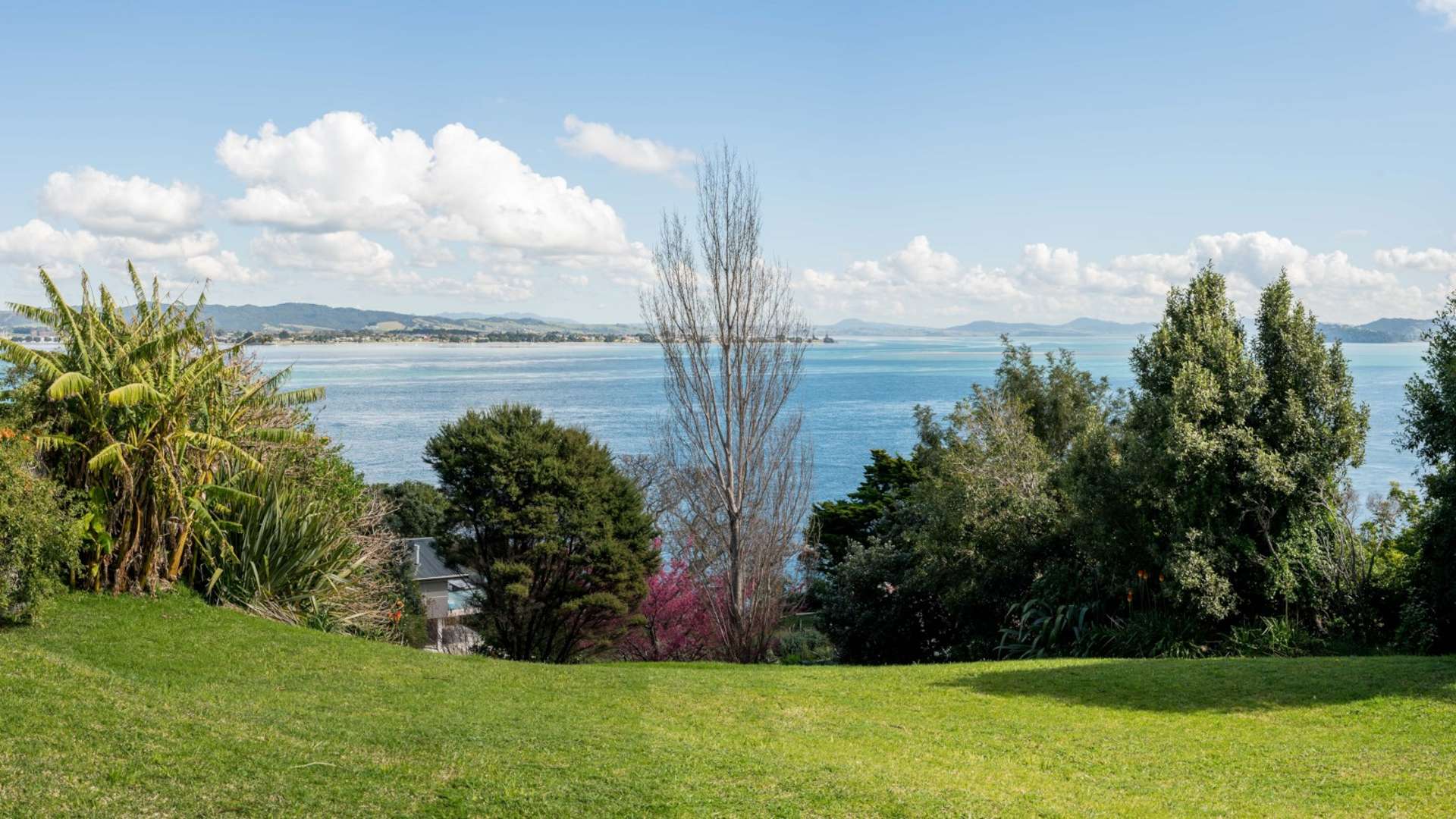 44 Norfolk Avenue Whangarei Heads_0