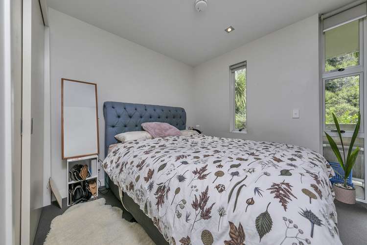 19/21 Birdwood Crescent Parnell_23