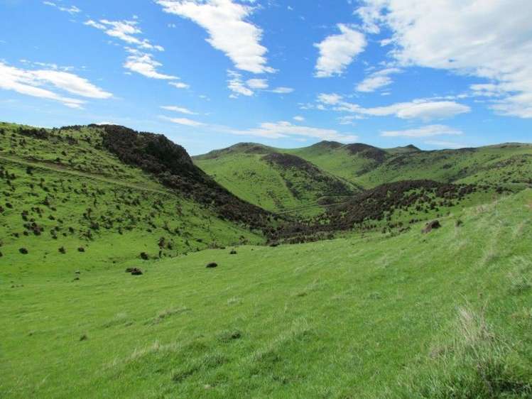 1477 Waimea Valley Road Gore Surrounds_21