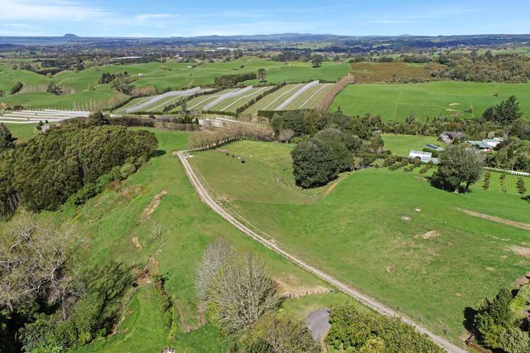 Thompsons Track Aongatete_11