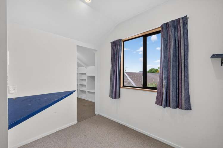 55 Lowry Avenue Redwood_20