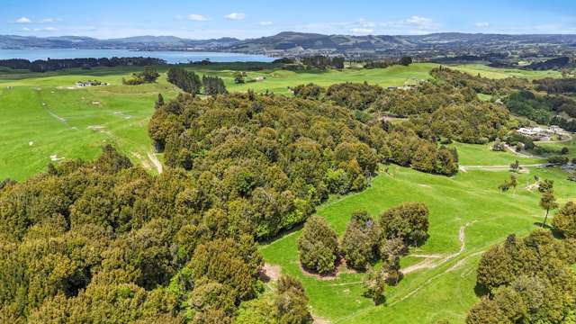 Te Waerenga Road Bare Land. Beautiful, By Nature