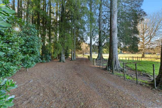 2039 Te Pahu Road Whatawhata_2