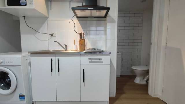 2/5A Tonks Street Remuera_3