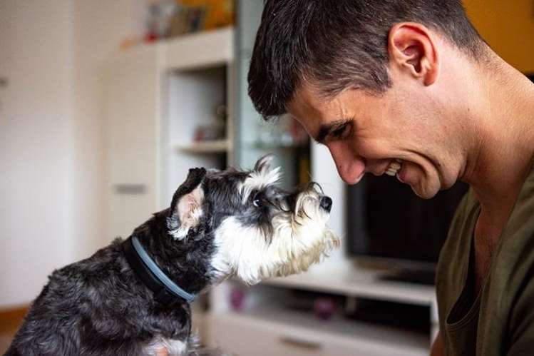 New Zealand’s most popular dogs revealed - and why housing has shaken up the list