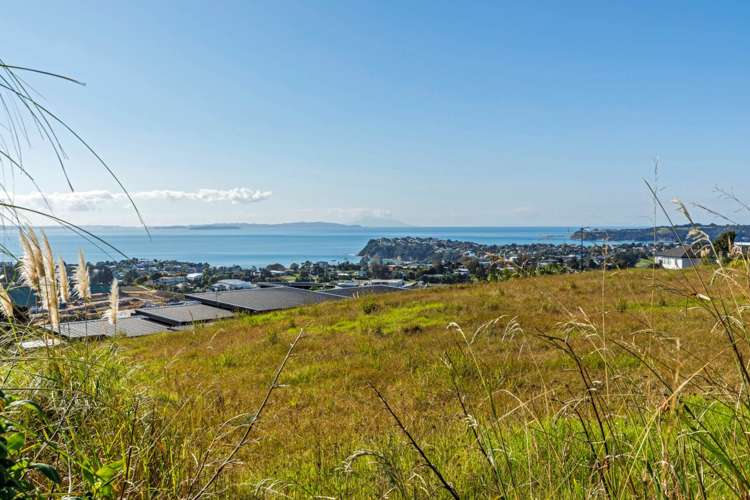 1 Woodridge Drive Stanmore Bay_9