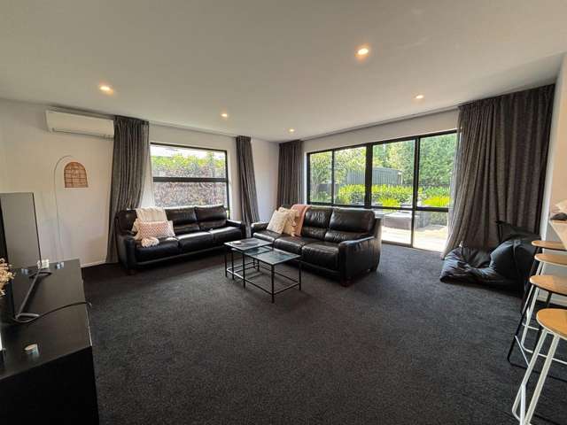 21B Sumner St Spreydon_3