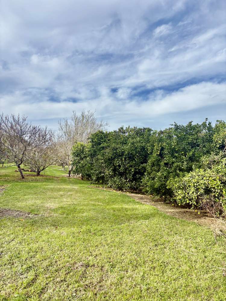 3/69A Vineyard Lane_4