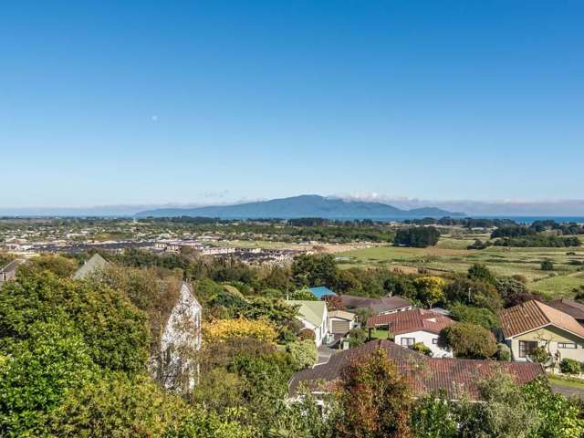 2 Matata Place Waikanae_1