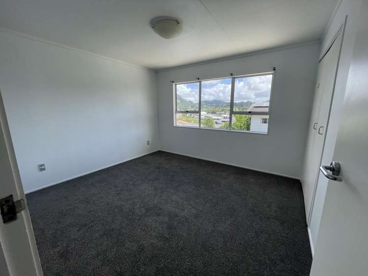 102 Alcoba Street Te Kamo_15