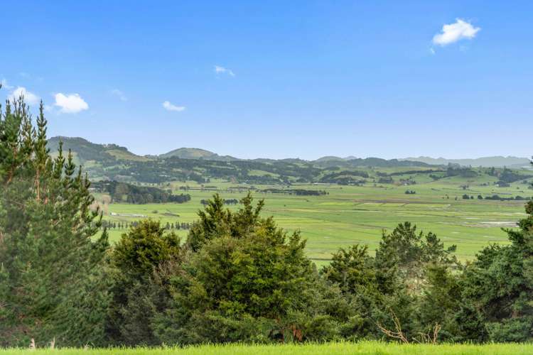 397 Apotu Road Kauri_23