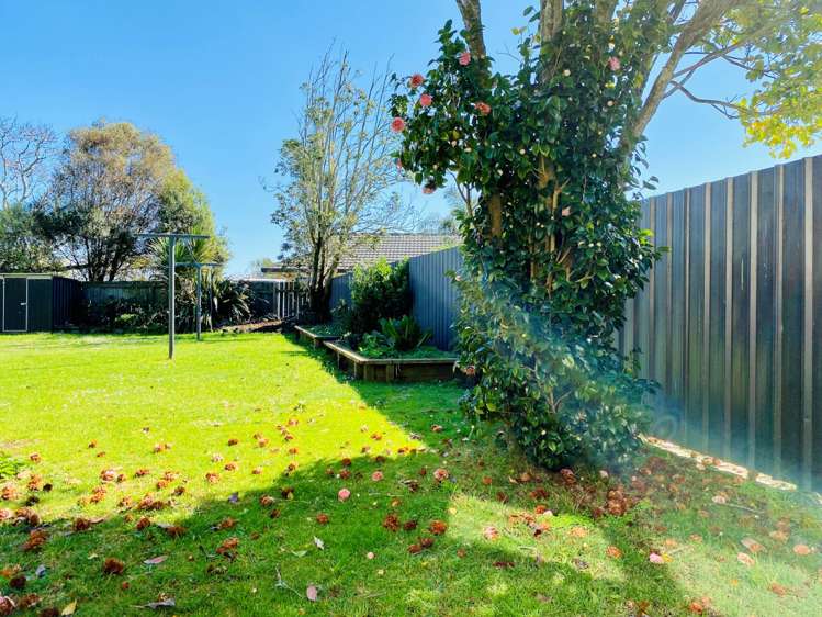 18 Duke Avenue Pukekohe_10