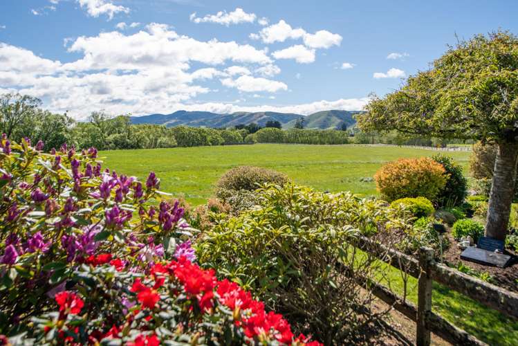 715 Koi Flat Road, Waikoikoi_3