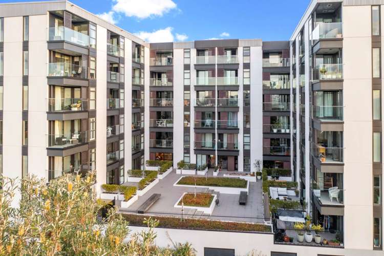 Lg07/9 Madeira Lane Grafton_13