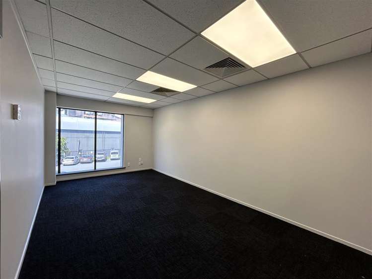 1 McNab Street Penrose_8