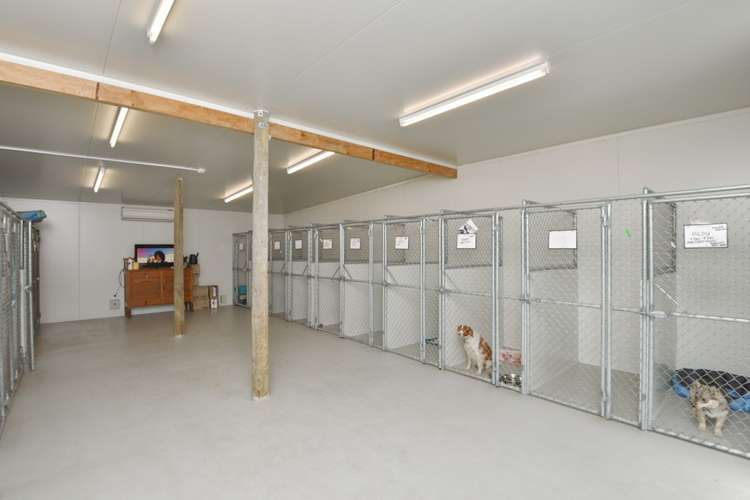 459 Fernside Road Fernside_11