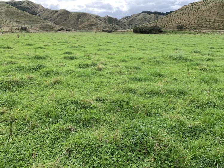 138 Quarry Road Stratford_13