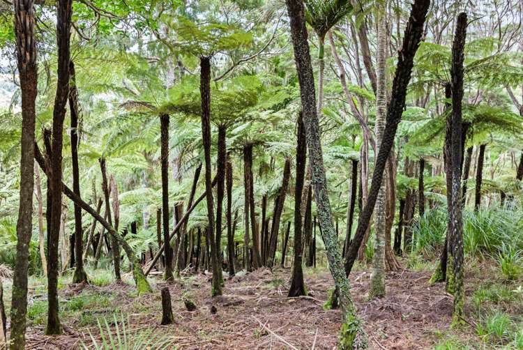 320 Upper Waiwera Road Puhoi_26