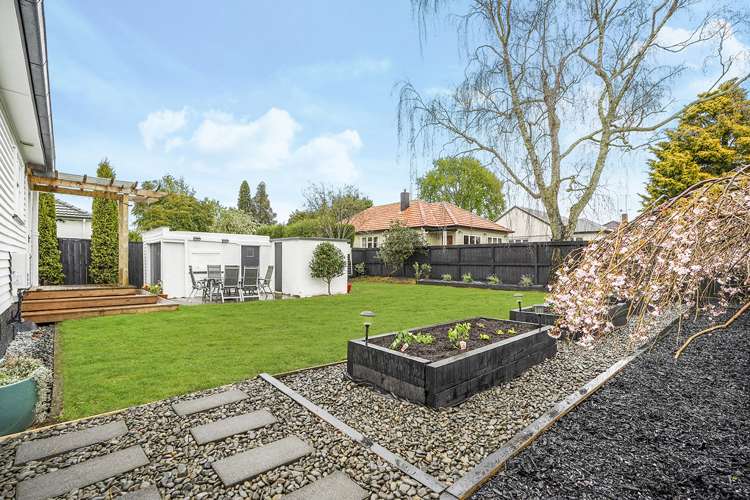 49 Graham Street Hamilton East_13