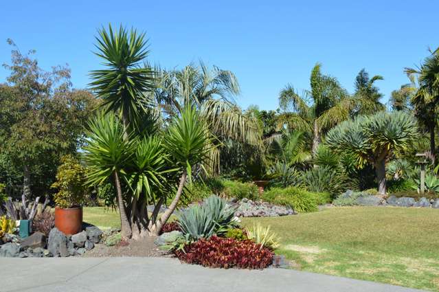 6 Garbolino Road Mangawhai_1