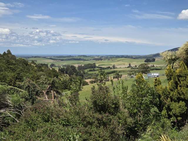 183 Gunn Road Waitepeka_1