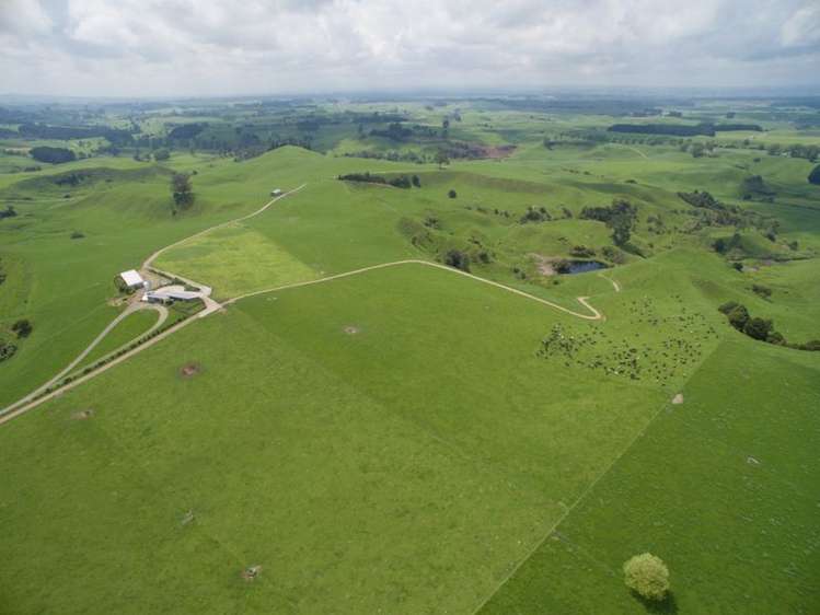 438 Waotu South Road Putaruru_21