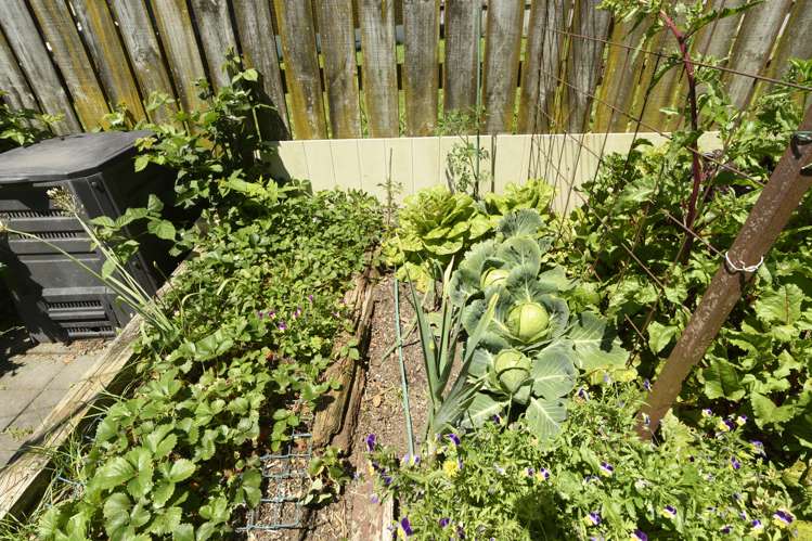 13 Pandora Place Welcome Bay_24