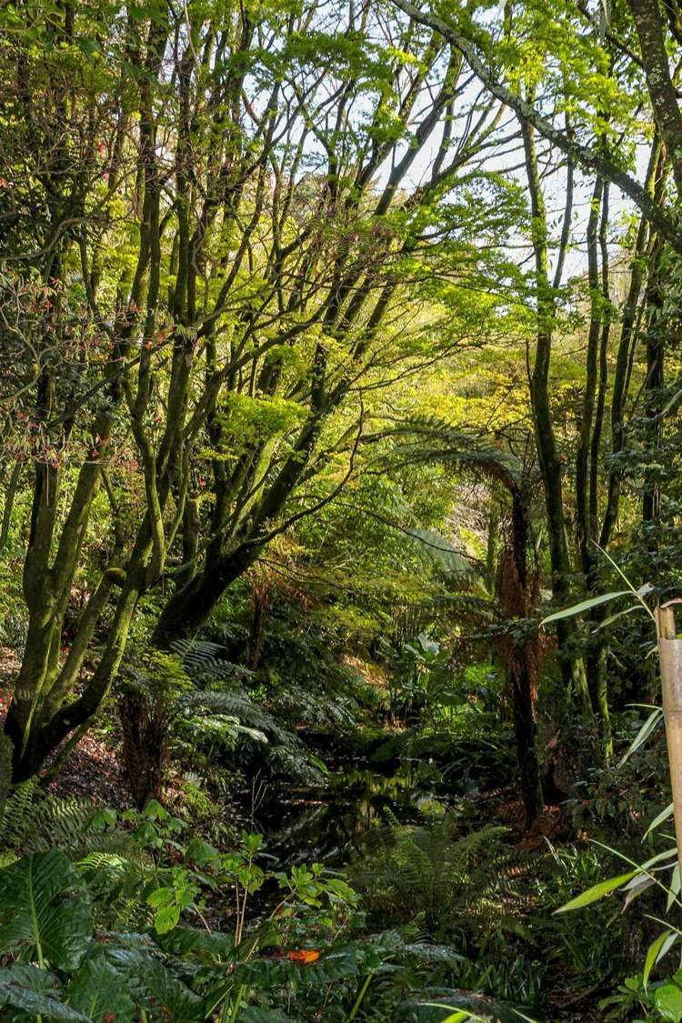 115 Kaipi Road Egmont Village_16