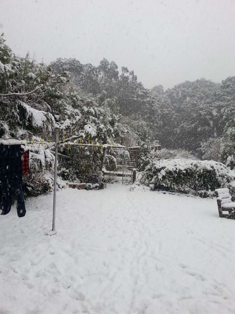 16 Tui Terrace Waipori Falls_8