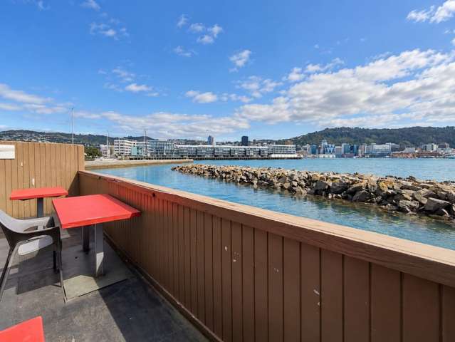 139A Oriental Parade Oriental Bay_3