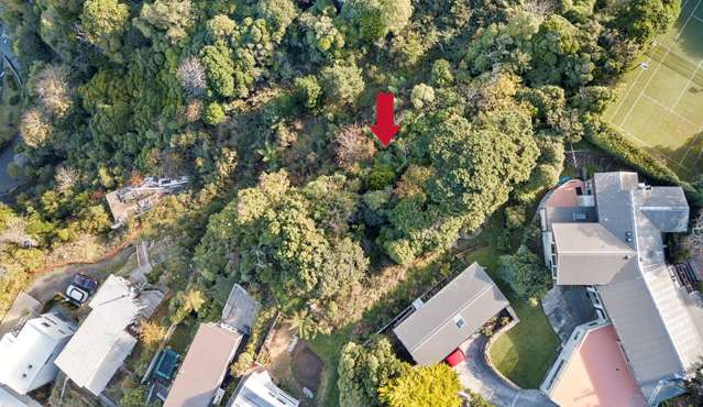 122b Nicholson Road Khandallah_1