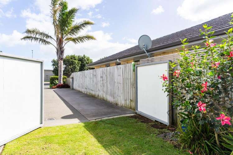 377 One Tree Point Road One Tree Point_27