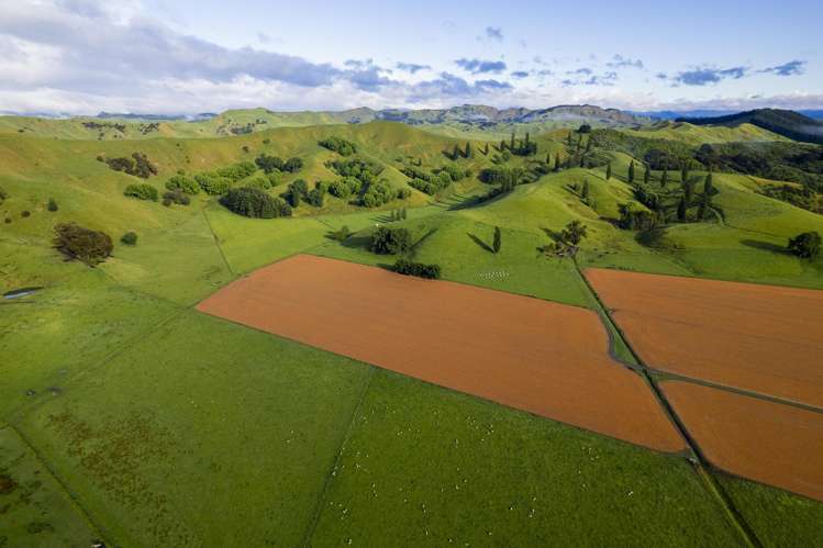 Lavenham Road Waituhi_7