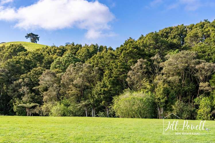 Lot 2/675 Gorge Road Maungaturoto_16