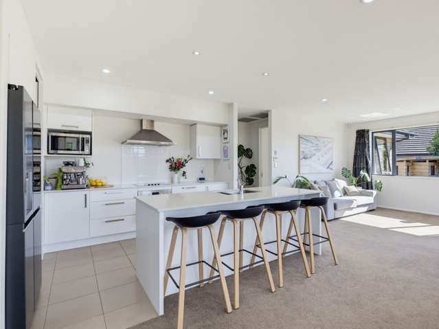 25 Tauhinu Avenue Lincoln_3