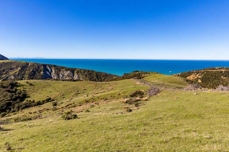 7611 State Highway 1 Ward_11