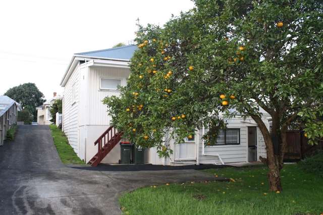 40 Burnley Terrace Mount Eden_2