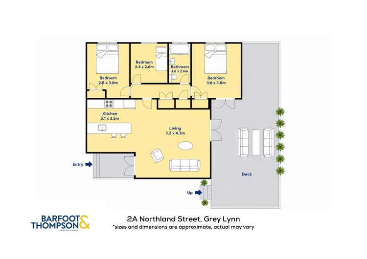 2A Northland Street Grey Lynn_5