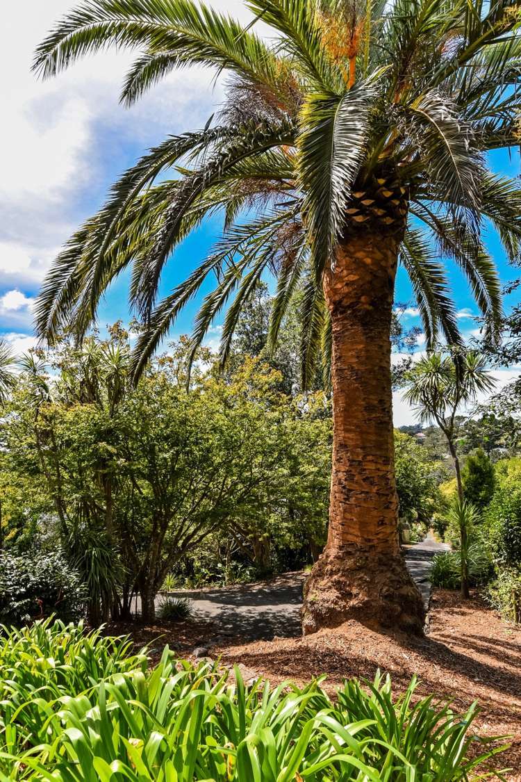 88 Canongate Street Birkdale_13