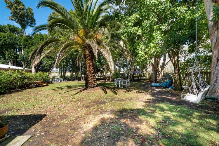 2162 State Highway 16 Helensville_12