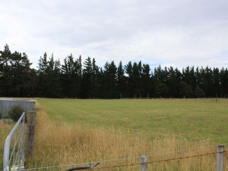 38 Goodeve Road Ormondville_6